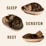 Oval Cat Scratcher with Toys 2-Piece - Image 2