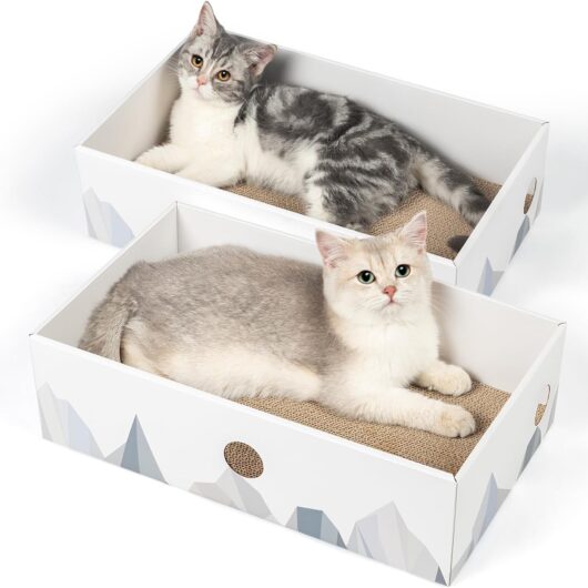 Large Double-Sided Checkered Cat Scratcher Box 2-Pack