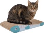 Fish-Shape Corrugated Scratch Pads 2-Pack