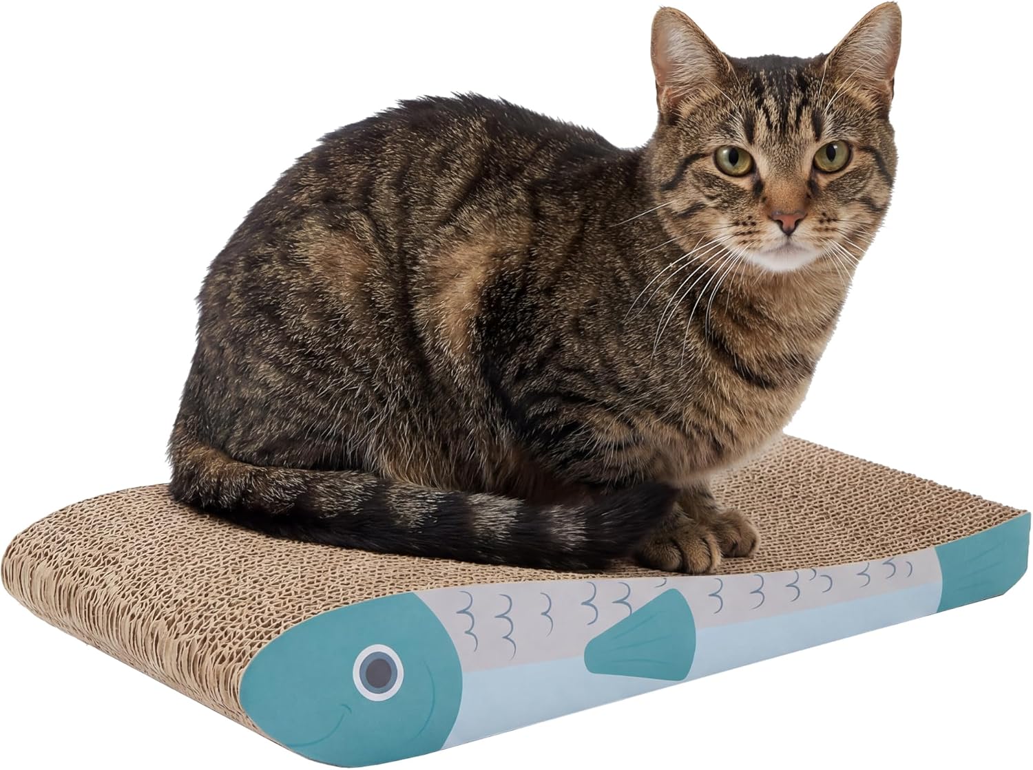 81WOholEYRL._AC_SL1500_.jpg Fish-Shape Corrugated Scratch Pads 2-Pack - Image 1