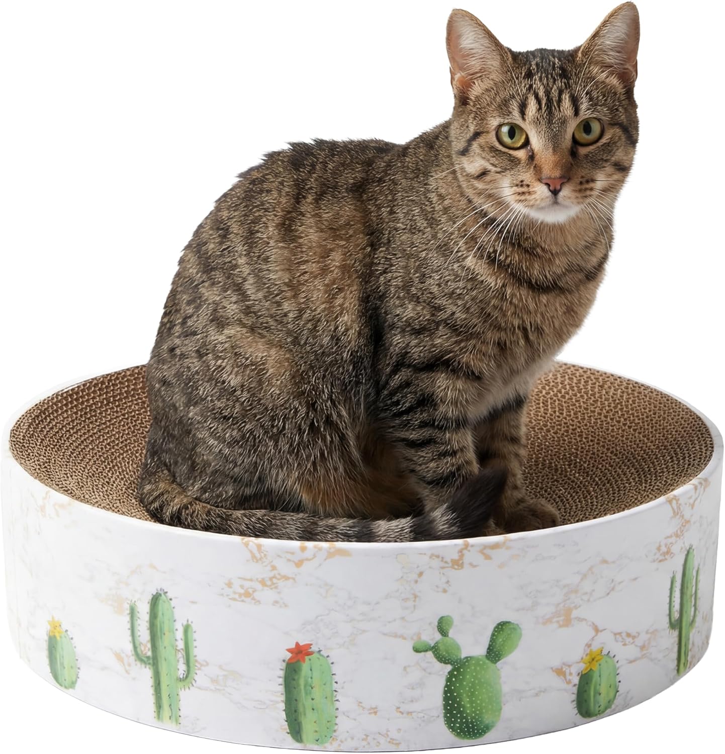 81w-k7w3xDL._AC_SL1500_.jpg Cactus-Shape Round Corrugated Scratcher Lounger - Image 1